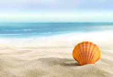 步行者将赴客场挑战76人，两支强队将展开对决