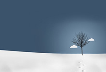 球员技艺精湛，深受球迷喜爱的风格