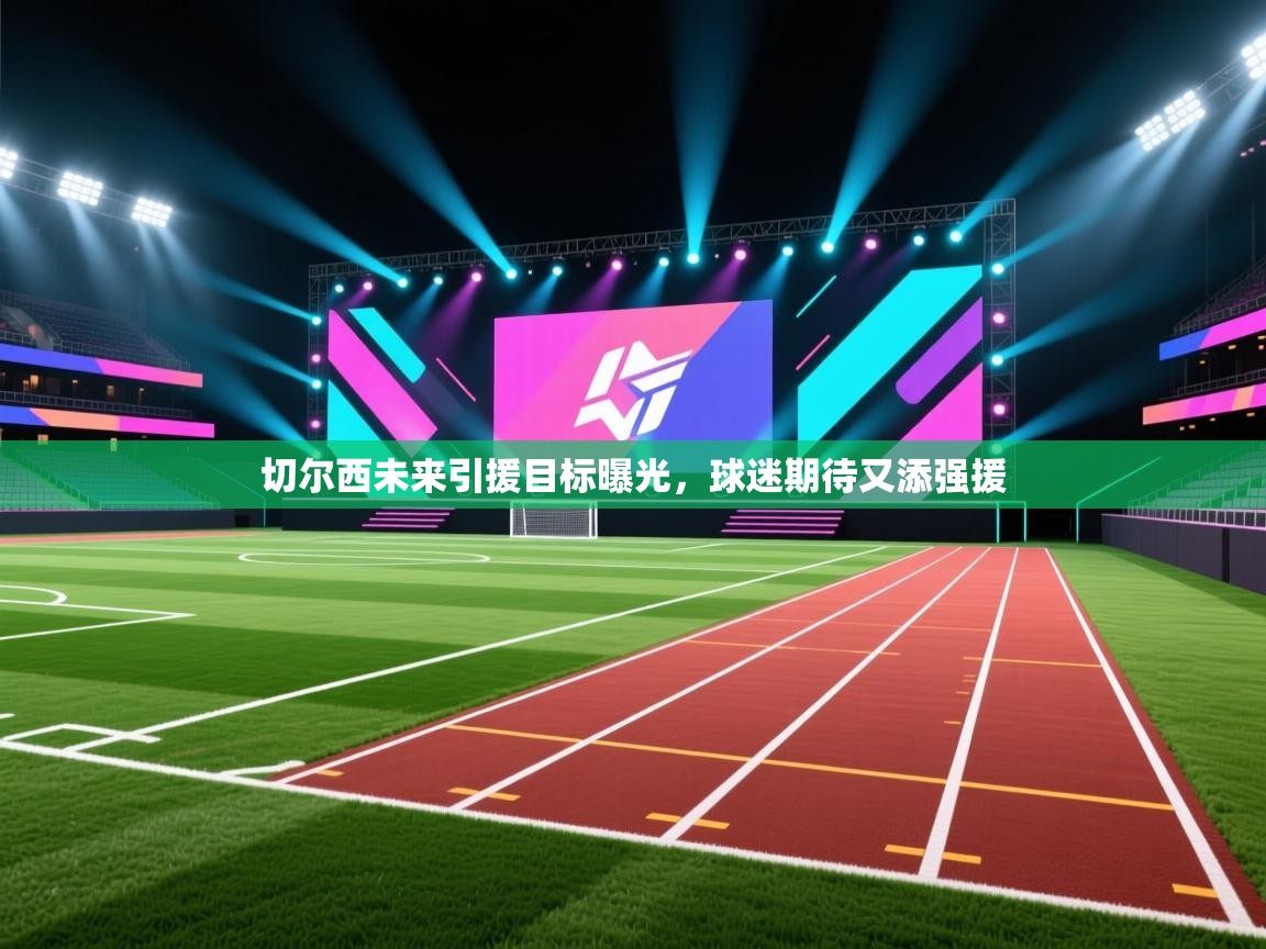 切尔西未来引援目标曝光,球迷期待又添强援 第1张