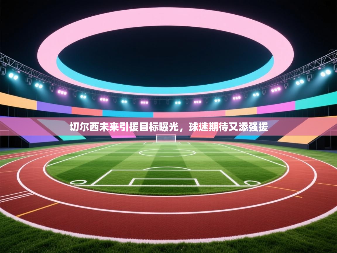 切尔西未来引援目标曝光,球迷期待又添强援 第2张