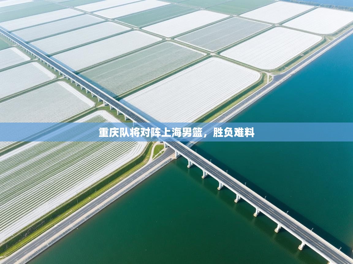 重庆队将对阵上海男篮，胜负难料  第2张