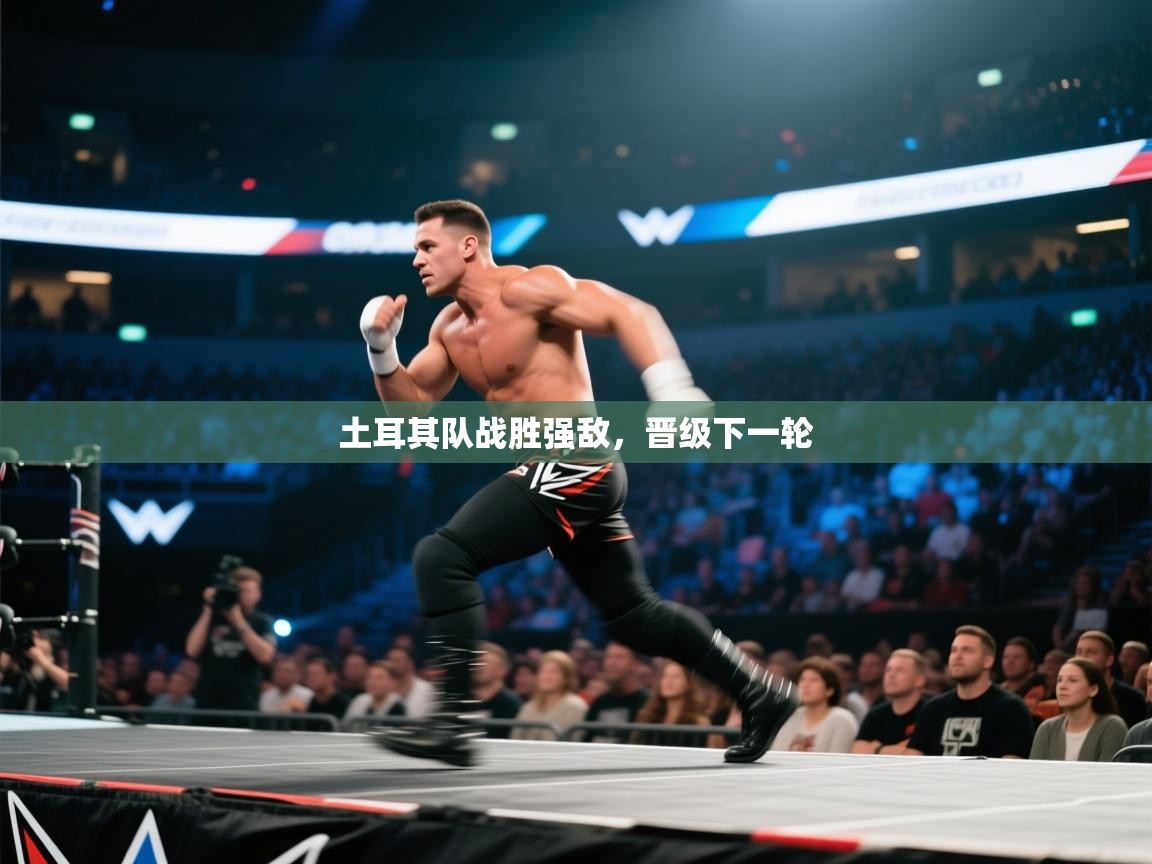 土耳其队战胜强敌，晋级下一轮  第1张